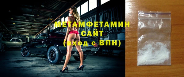 ГАЛЛЮЦИНОГЕННЫЕ ГРИБЫ Дмитриев