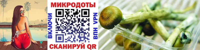 Галлюциногенные грибы MAGIC MUSHROOMS  Рыбинск 