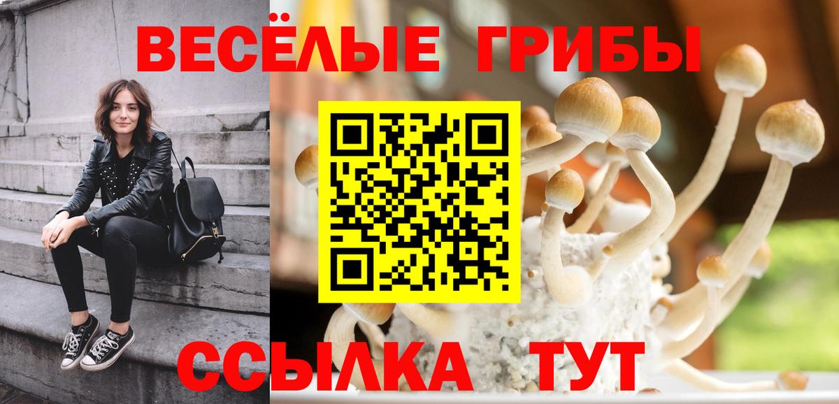 Псилоцибиновые грибы Cubensis  Галлюциногенные грибы Magic Shrooms  Вход с VPN  Рыбинск 